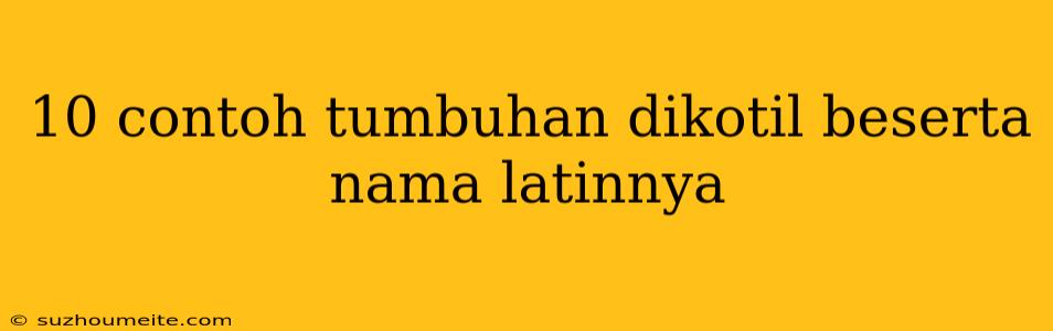 10 Contoh Tumbuhan Dikotil Beserta Nama Latinnya