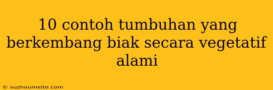 10 Contoh Tumbuhan Yang Berkembang Biak Secara Vegetatif Alami