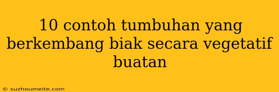 10 Contoh Tumbuhan Yang Berkembang Biak Secara Vegetatif Buatan