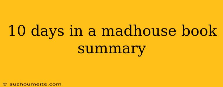 10 Days In A Madhouse Book Summary