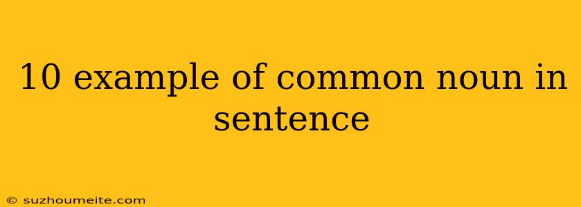 10 Example Of Common Noun In Sentence