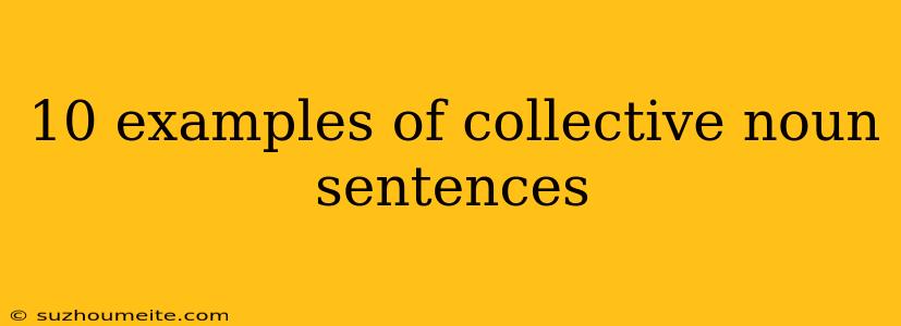 10 Examples Of Collective Noun Sentences