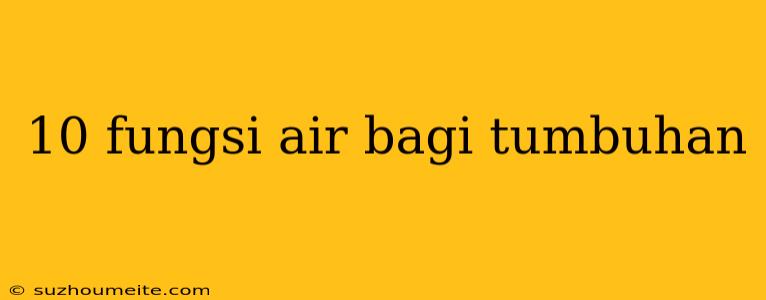 10 Fungsi Air Bagi Tumbuhan