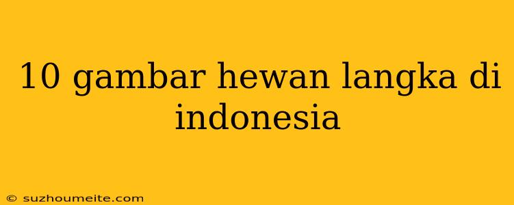 10 Gambar Hewan Langka Di Indonesia