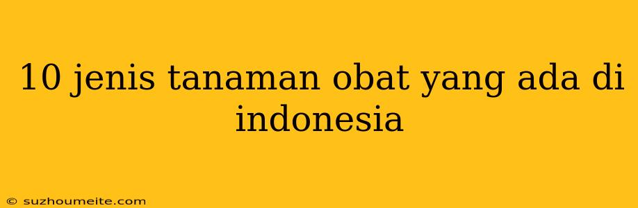 10 Jenis Tanaman Obat Yang Ada Di Indonesia