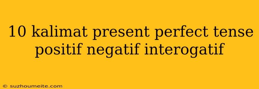 10 Kalimat Present Perfect Tense Positif Negatif Interogatif