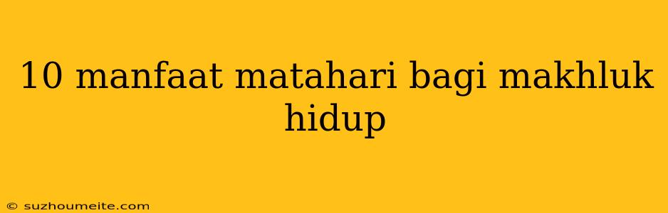 10 Manfaat Matahari Bagi Makhluk Hidup