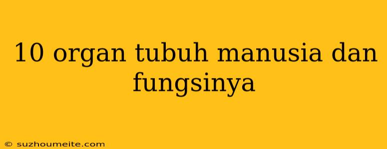 10 Organ Tubuh Manusia Dan Fungsinya