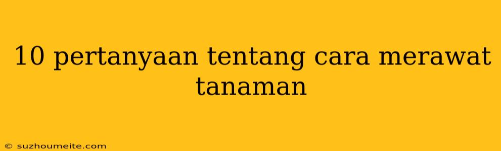 10 Pertanyaan Tentang Cara Merawat Tanaman