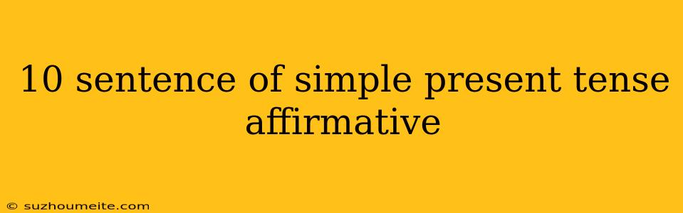 10 Sentence Of Simple Present Tense Affirmative