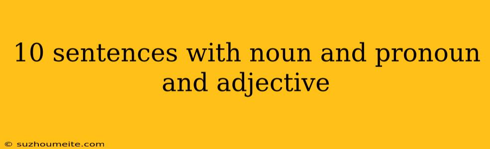 10 Sentences With Noun And Pronoun And Adjective