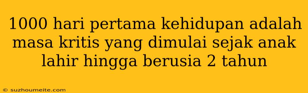 1000 Hari Pertama Kehidupan Adalah Masa Kritis Yang Dimulai Sejak Anak Lahir Hingga Berusia 2 Tahun