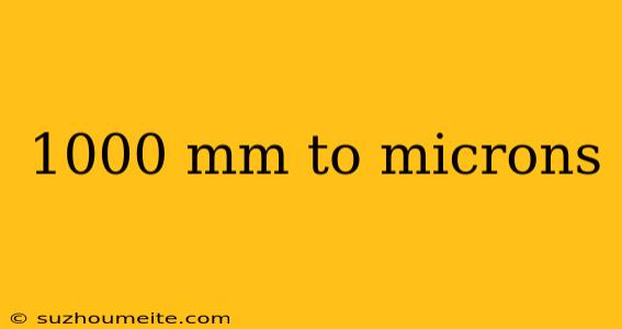 1000 Mm To Microns