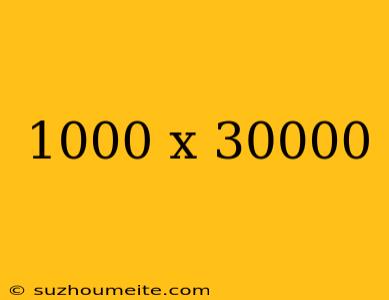 1000 X 30000