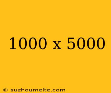 1000 X 5000