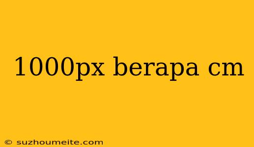 1000px Berapa Cm