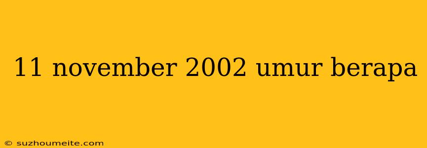 11 November 2002 Umur Berapa