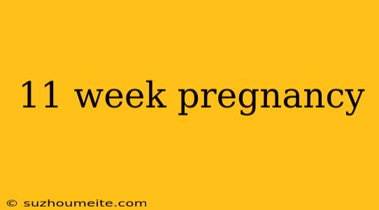 11 Week Pregnancy