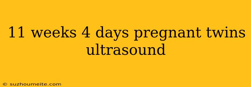 11 Weeks 4 Days Pregnant Twins Ultrasound