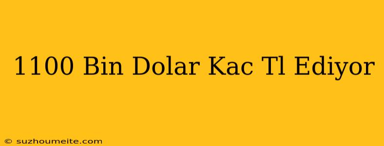 1100 Bin Dolar Kaç Tl Ediyor