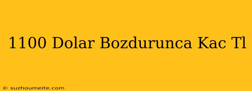 1100 Dolar Bozdurunca Kaç Tl