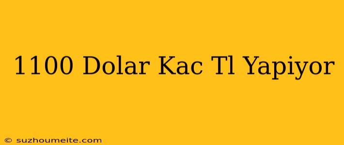 1100 Dolar Kac Tl Yapıyor