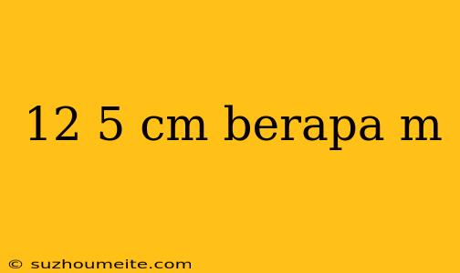 12 5 Cm Berapa M