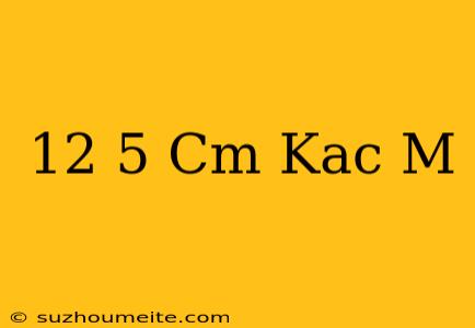 12 5 Cm Kaç M