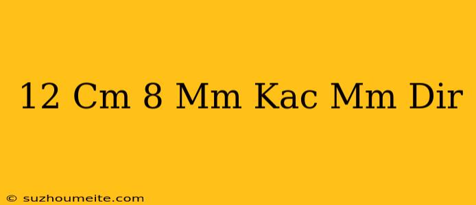 12 Cm 8 Mm Kaç Mm Dir