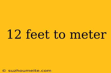 12 Feet To Meter