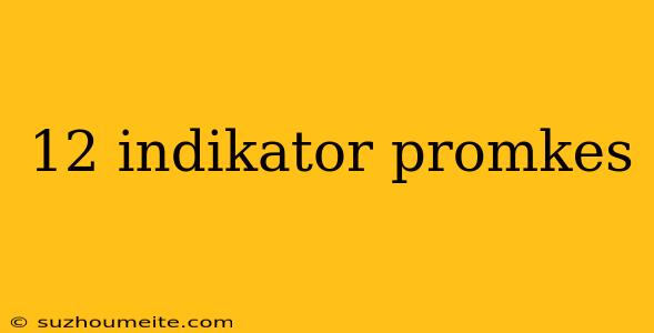 12 Indikator Promkes