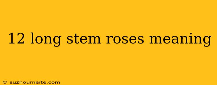 12 Long Stem Roses Meaning