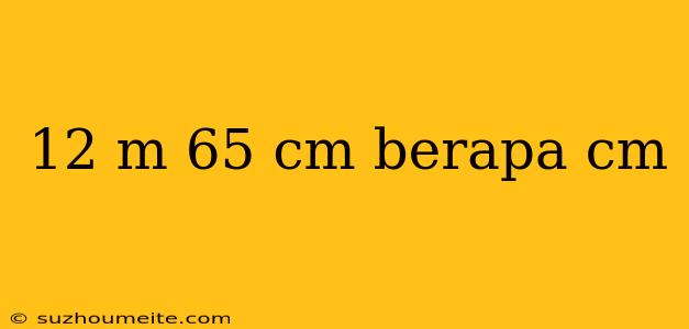 12 M 65 Cm Berapa Cm