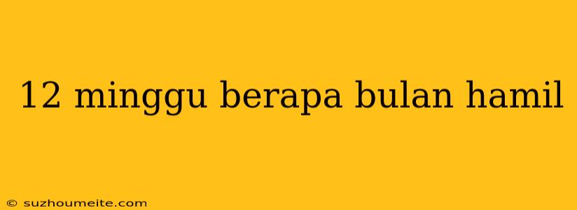 12 Minggu Berapa Bulan Hamil