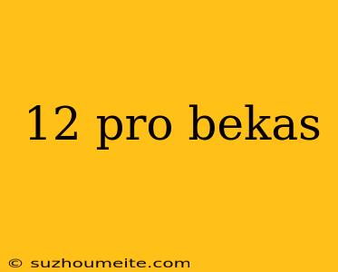 12 Pro Bekas