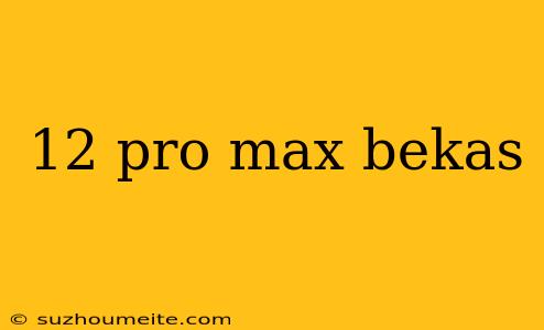 12 Pro Max Bekas