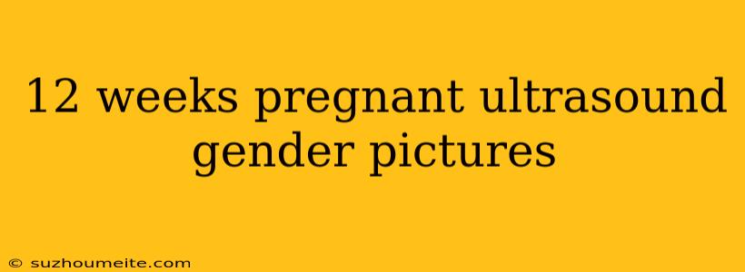 12 Weeks Pregnant Ultrasound Gender Pictures