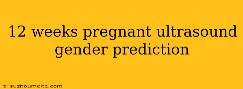 12 Weeks Pregnant Ultrasound Gender Prediction