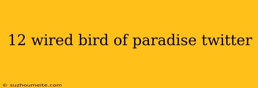 12 Wired Bird Of Paradise Twitter