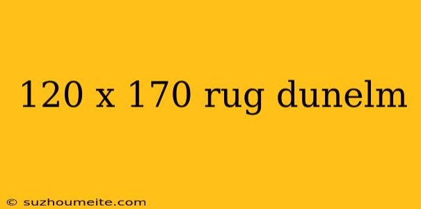 120 X 170 Rug Dunelm