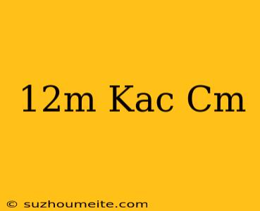 12m Kaç Cm