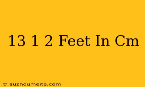 13 1/2 Feet In Cm