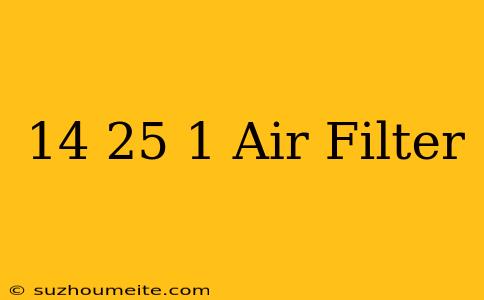 14×25×1 Air Filter