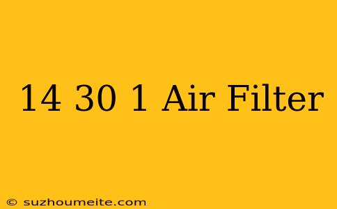 14×30×1 Air Filter