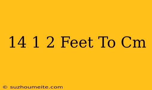 14 1/2 Feet To Cm