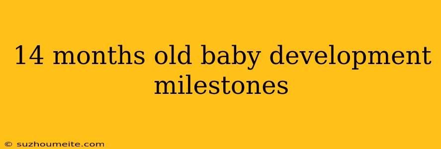 14 Months Old Baby Development Milestones