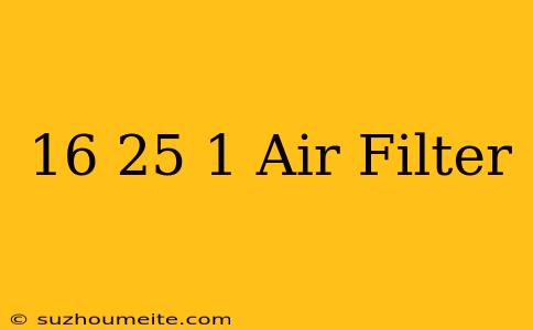 16×25×1 Air Filter