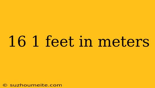 16 1 Feet In Meters