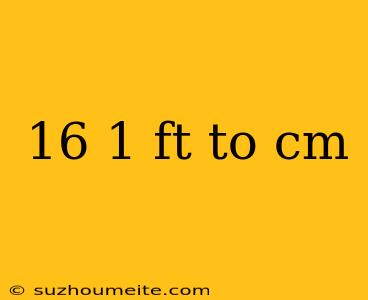 16 1 Ft To Cm