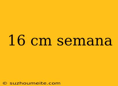 16 Cm Semana